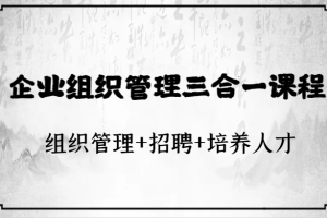 企业组织管理三合一课程：组织管理+招聘+培养人才