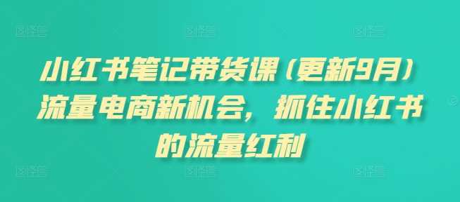 小红书笔记带货课(更新11月)流量电商新机会，抓住小红书的流量红利