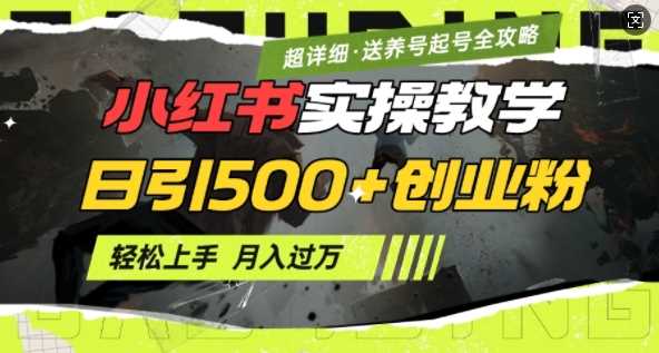 2月小红书最新日引500+创业粉实操教学【超详细】小白轻松上手,月入1W+,附小红书养号起号SOP