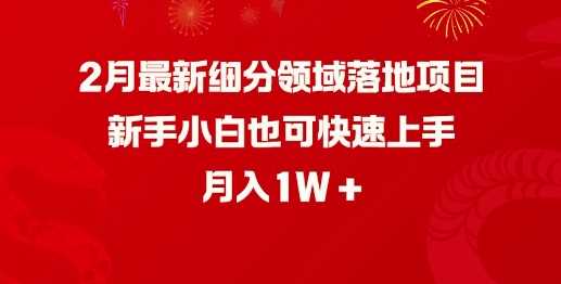 2月最新细分领域落地项目，新手小白也可快速上手，月入1W