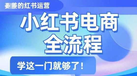 小红书电商全流程,精简易懂,从入门到精通,学这一门就够了